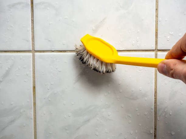 Best Water Damage Restoration  in Rock Falls, IL
