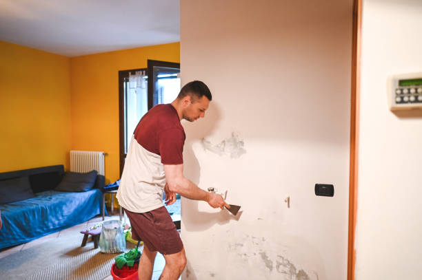 Best Best Mold Removal Companies  in Rock Falls, IL